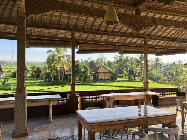 Policy and Procedure