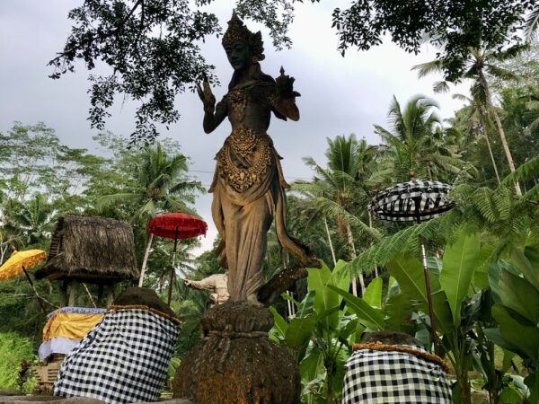 Northern Bali Tour [A]