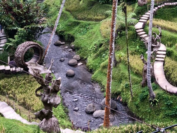 Northern Bali Tour [B]